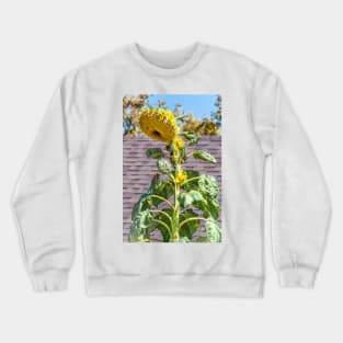 Giant Towering Sunflower by Debra Martz Crewneck Sweatshirt